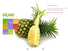 Tablet Screenshot of milani-fairtrade.ch